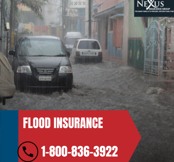 Flood Insurance in Florida